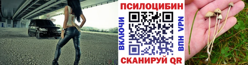 mega ссылка  Ворсма  Галлюциногенные грибы ЛСД 